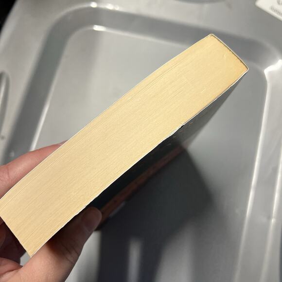 Left Behind Series Paperback Book 10 Remnant by Tim LaHaye and Jerry B Jenkins - Picture 7 of 7